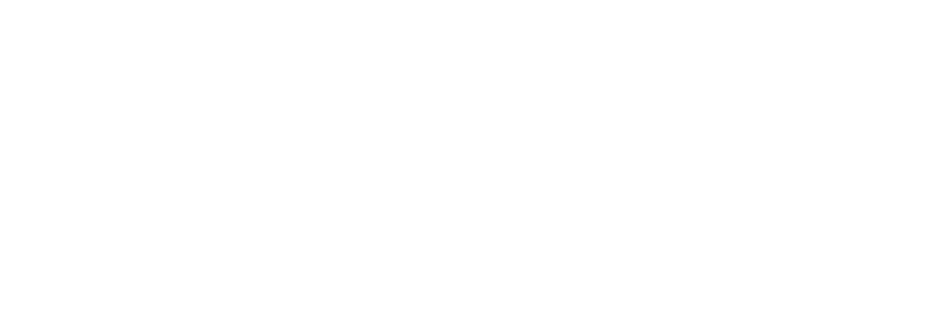 DIESMI Agencia de Cuidados
